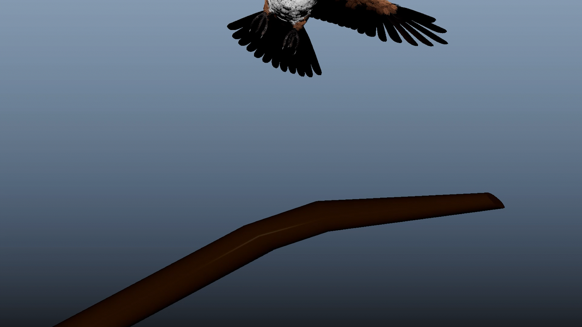 A5_BirdInFlight_Landing_ChrisGermany_1.gif