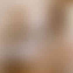 “Nature Feed” engraved wooden shelf decorated with dried flowers and pinecones in a calm, sunlit room.