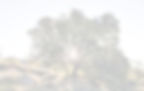 Hintergrundbild Seminare, Einzel- und Paarberatung