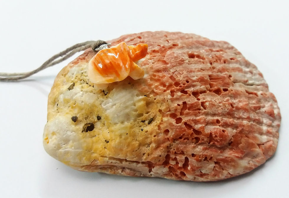 Miniatura: Collar con dije en plata 9.50 tallado en Concha Espóndilus