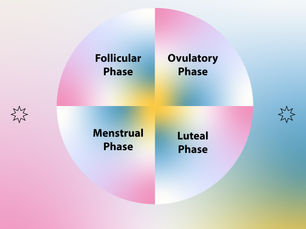 What is the infradian rhythm?