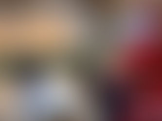 サンタさんがきたよ🎄