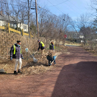 Volunteer Season is Back