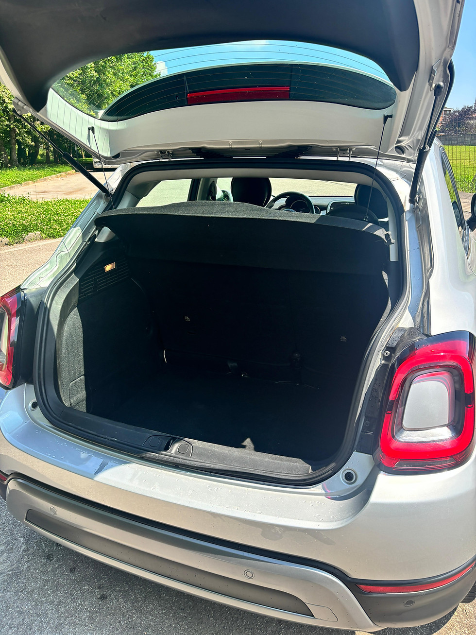 Miniatura: FIAT 500X