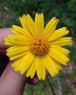 Acostamento - Praia Preta