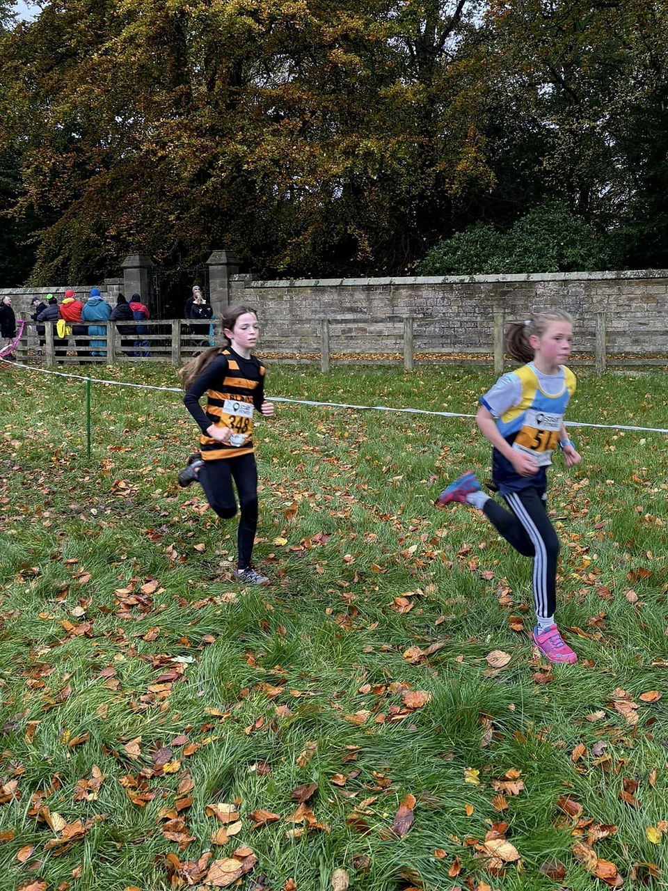 Junior Blaydon athlete running at NEHL Lambton Estate Cross Country