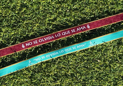 WhatsApp Image 2025-06-07 at 19.48_edited.jpg