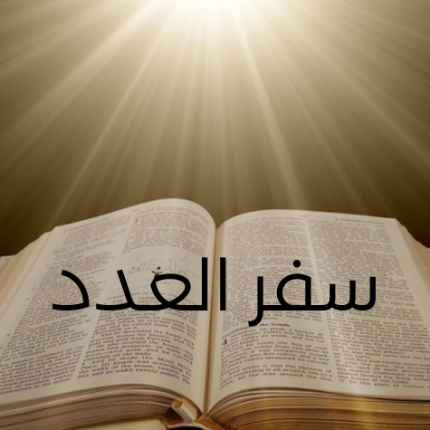 سفر العدد