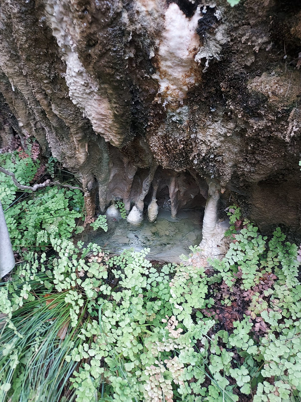 Discover the hidden beauty of the stalagmites cave near Apsiou, surrounded by lush greenery. Contact us to explore this secret spot.