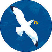 La mouette Héol