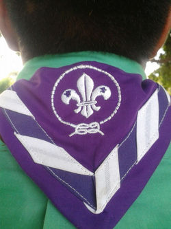 PAÑOLETA GRUPO SCOUT GORRONES