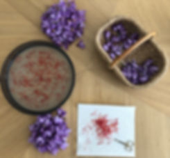 IMG_1302.jpeg
