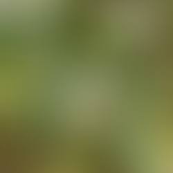 The Emptiness Inside Us