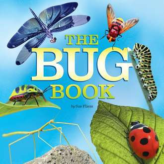 Fliess_The_Bug_Book_Cover-330