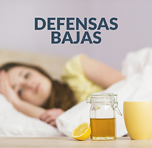 Celulas Madre (11).png