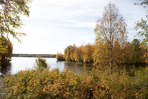 Autumn Rovaniemi.jpg