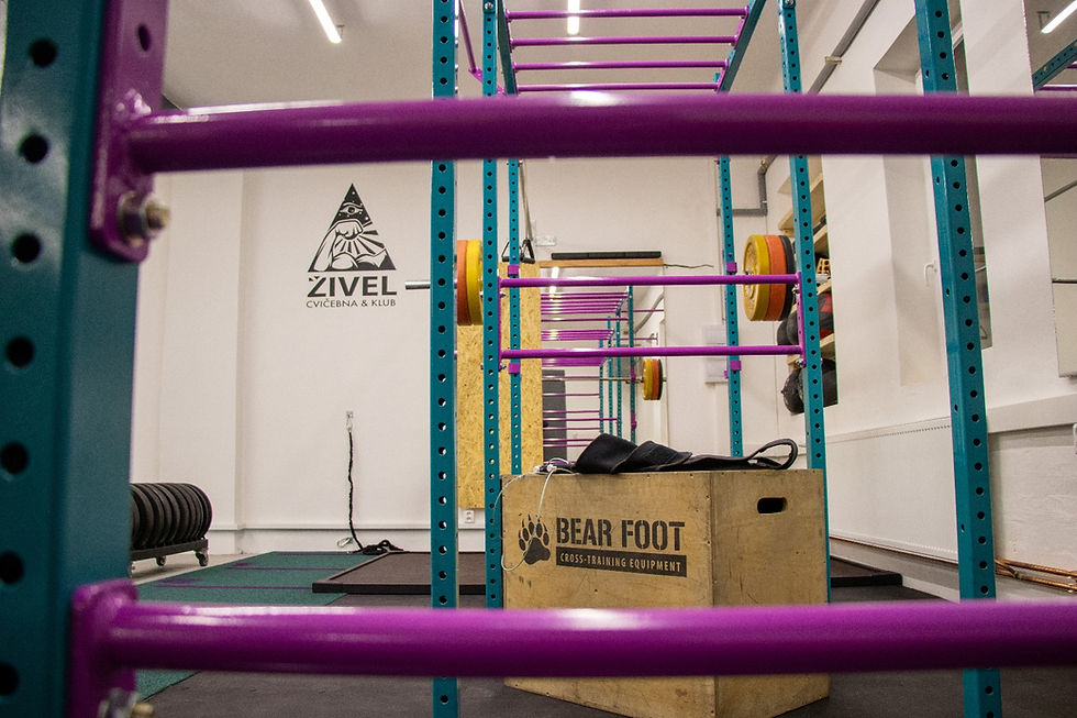 Obrázek WhatsApp, 2025-03-18 v 21.39.01_d034c5d0.jpg