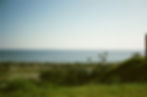 Ocean view from a grassy hill with coastline and palm trees