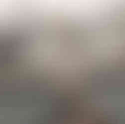 Voyage sur-mesure organisation Kelly voyage travel planner à angers voyage pas cher à dubaï, voyage en airbus A380 Emirats, informations, conseils et bonnes adresses à dubaï, aéroport roissy charles de gaules Paris CDG