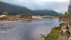 IMG_20211208_072150