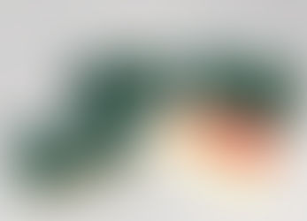 品牌設計 禮盒設計 | 大苑子