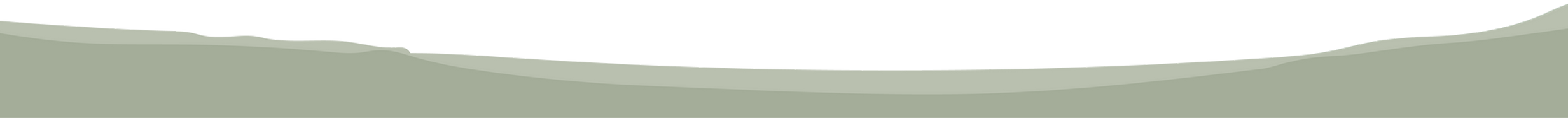 logo o p'tits ratons laveurs_Plan de travail 1-06.png