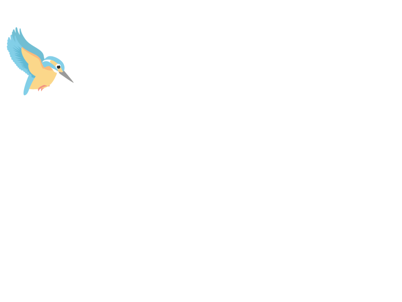 animation-martin-pecheur