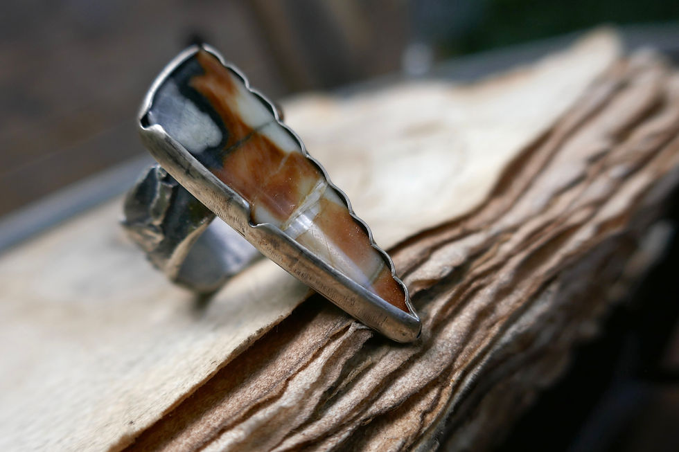 Thumbnail: earthbound II: petrified palm wood ring / size 6.5