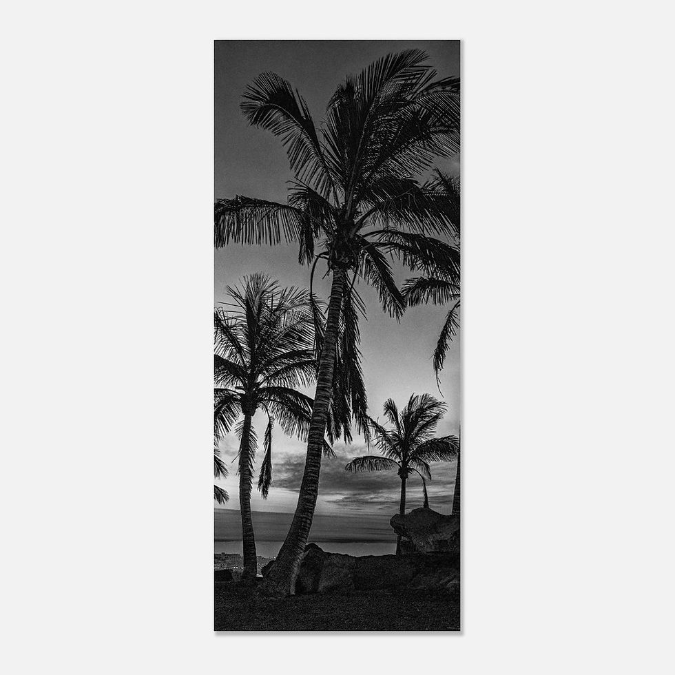 Thumbnail: Palm Tree Sunrise (Black & White) - Photographic Print