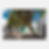 Thumbnail: Teguise Trees - Photographic Print