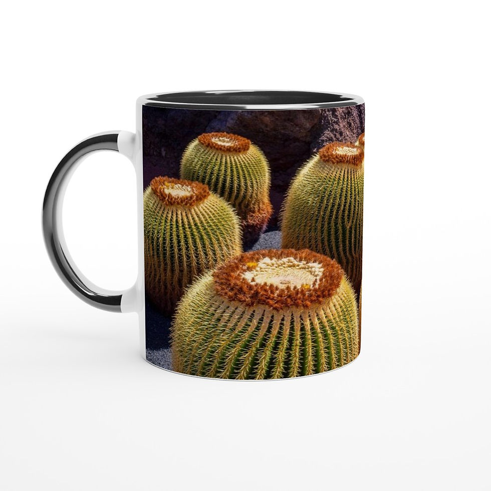 Thumbnail: Golden Barrel Cactus - Ceramic Mug