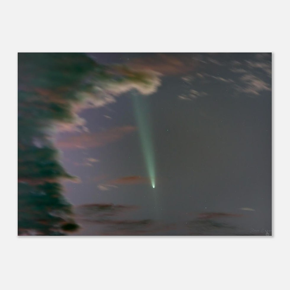 Thumbnail: Comet Atlas - Photographic Print