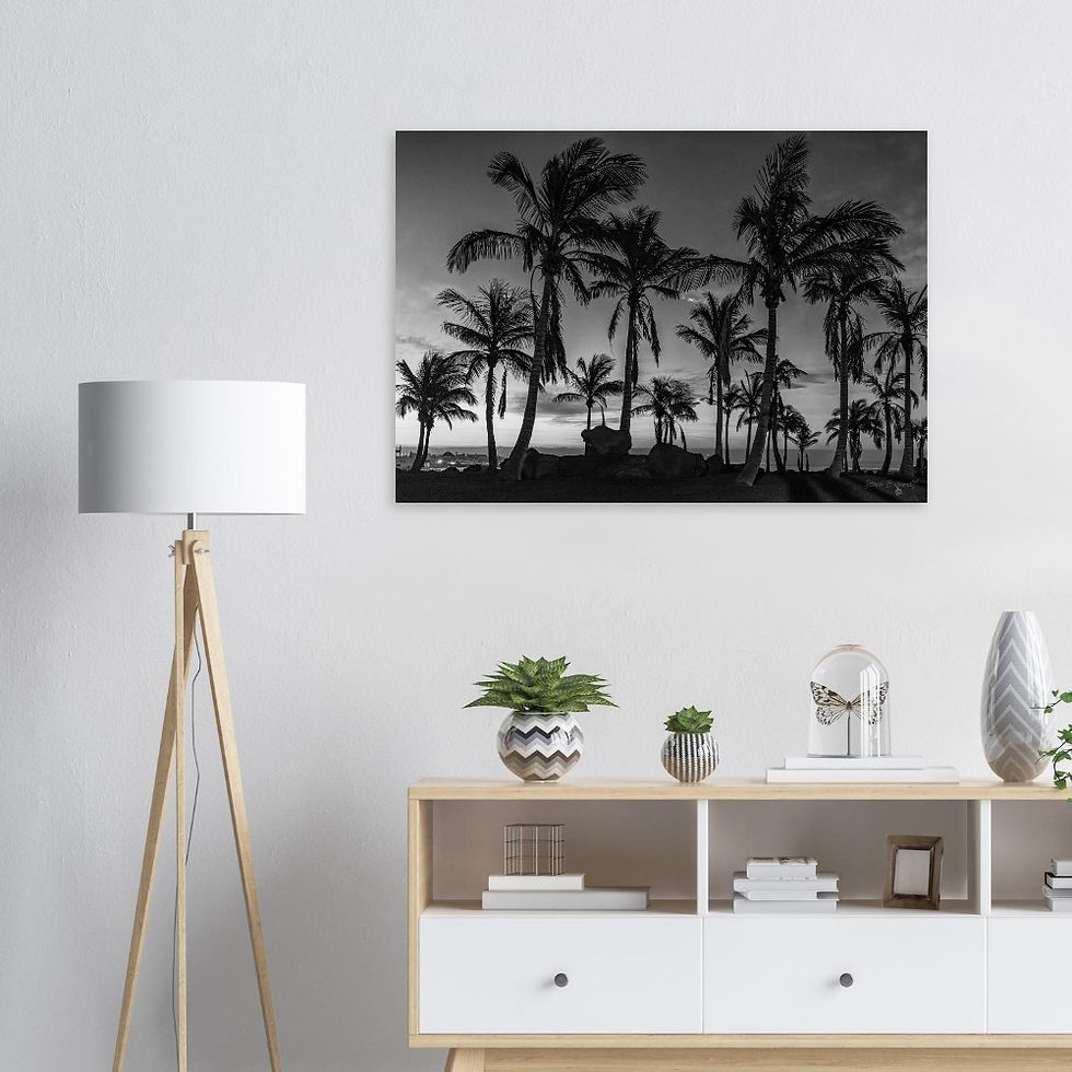Thumbnail: Palm Trees Sunrise (Black & White) - Photographic Print