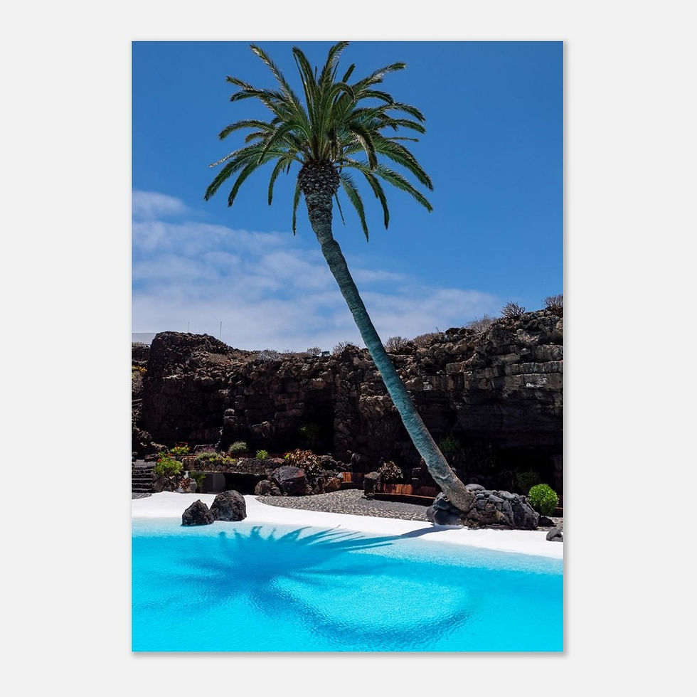 Thumbnail: Jameos del Agua Palm Tree - Photographic Print