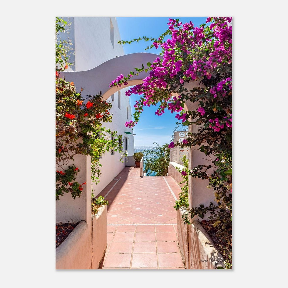 Thumbnail: Bougainvillea Flower Arch - Photographic Print