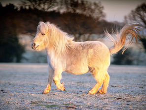 Tim's Daily Diaires 4/1/2026