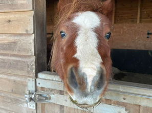 Tim's Daily Diaries 5/1/2026