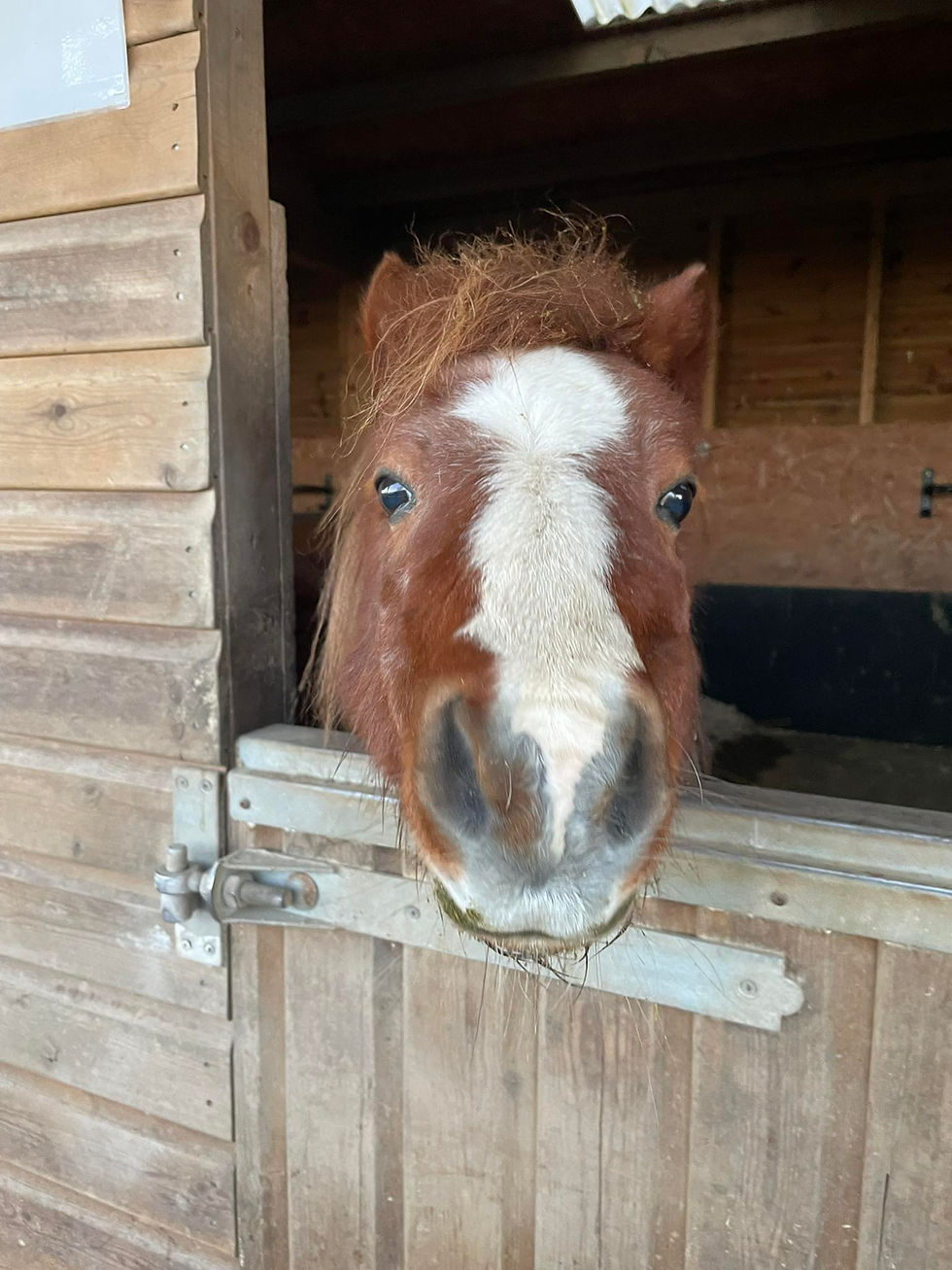 Tim's Daily Diaries 5/1/2026