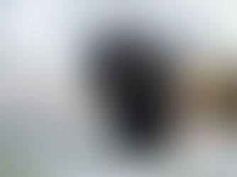 Tim's Daily Diaries 30/12/2025