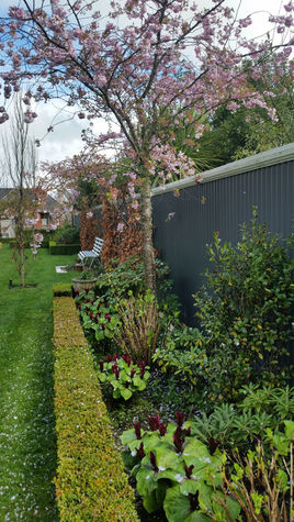 20170922_112033 (1).jpg