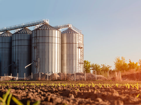 O FCO (Fundo Constitucional do Centro-Oeste) oferece financiamento para investimentos no setor agropecuário, com taxas reduzidas e prazos extensos, é a oportunidade ideal para quem deseja expandir negócios e contribuir para o desenvolvimento regional.