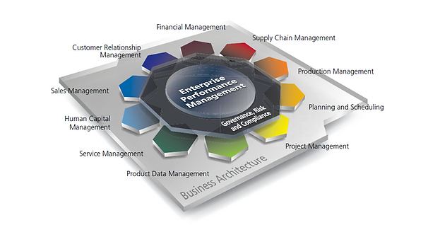 ERP enterprise performance management