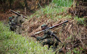 The Silent Cry in the Congo