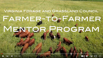 Farmer-to-Farmer Mentor Program In Action