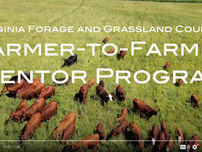 Farmer-to-Farmer Mentor Program In Action