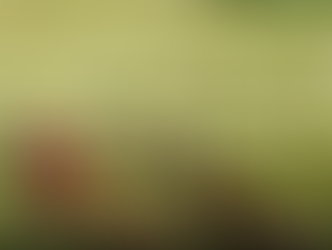 Farmer-to-Farmer Mentor Program In Action