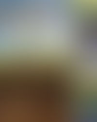 Featured Resource:The Complete Guide to Restoring Your Soil