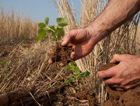 Soil Aggregate Stability: What Is It, Why Is It Relevant to Farmers, and How Is It Measured?