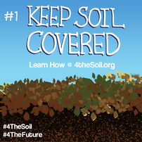 It's not too early to start planning for cover crop planting!