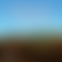 It's not too early to start planning for cover crop planting!